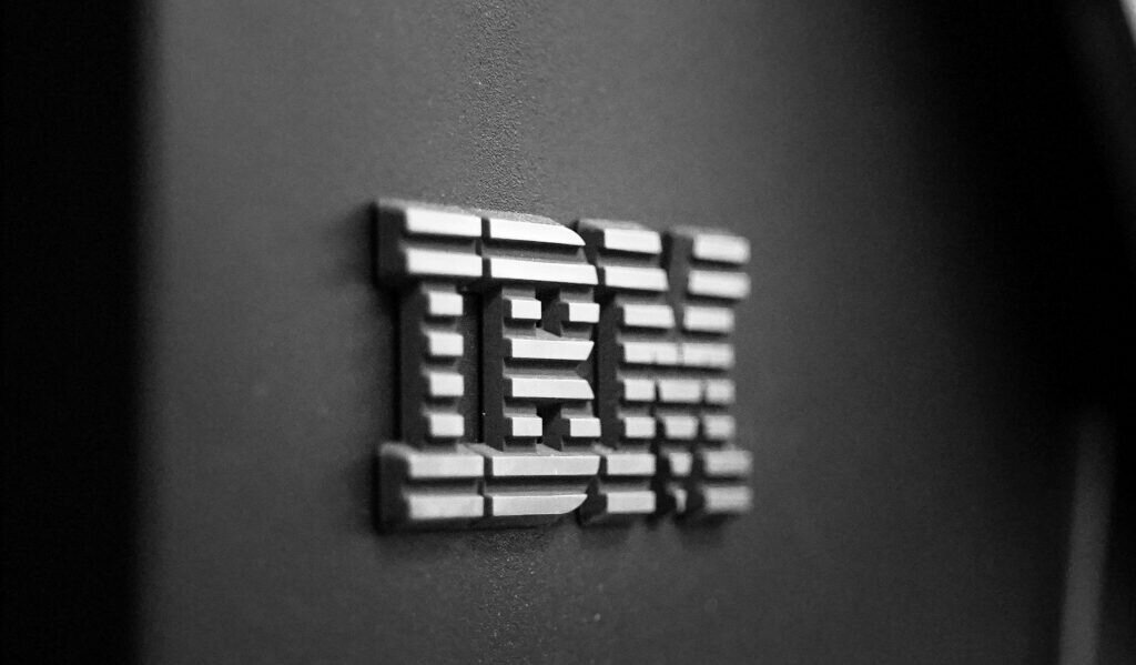 IBM Case Study 1993